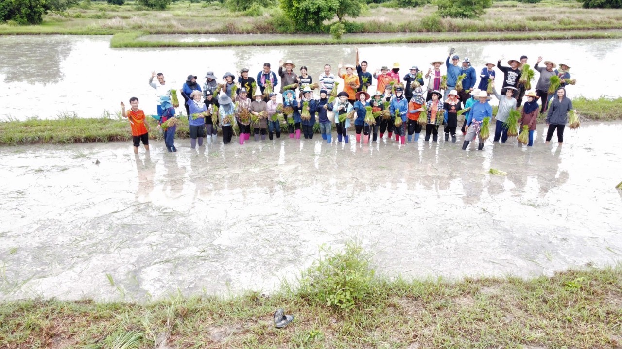 LINE_ALBUM_ดำนาโคกหนองนา67_240627_23